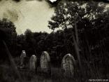 Grave Yard