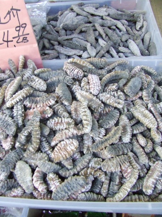 Dried sea cucumbers sold in bulk bins -- Chinatown, San Francisco