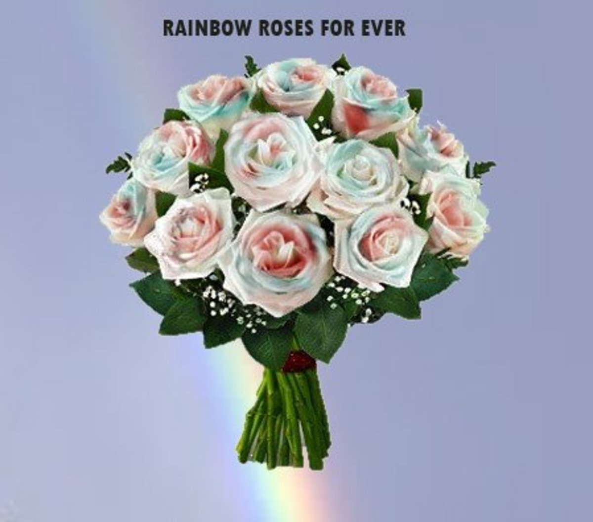 Rainbow Roses can bring smile...