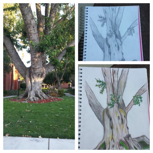 Here is an example of a picture I drew.  I took a little time out of my day and sat in front of this beautiful tree with a sketch pad, a pencil,  and colored pencils. I let myself go and capture it's presence right before me.