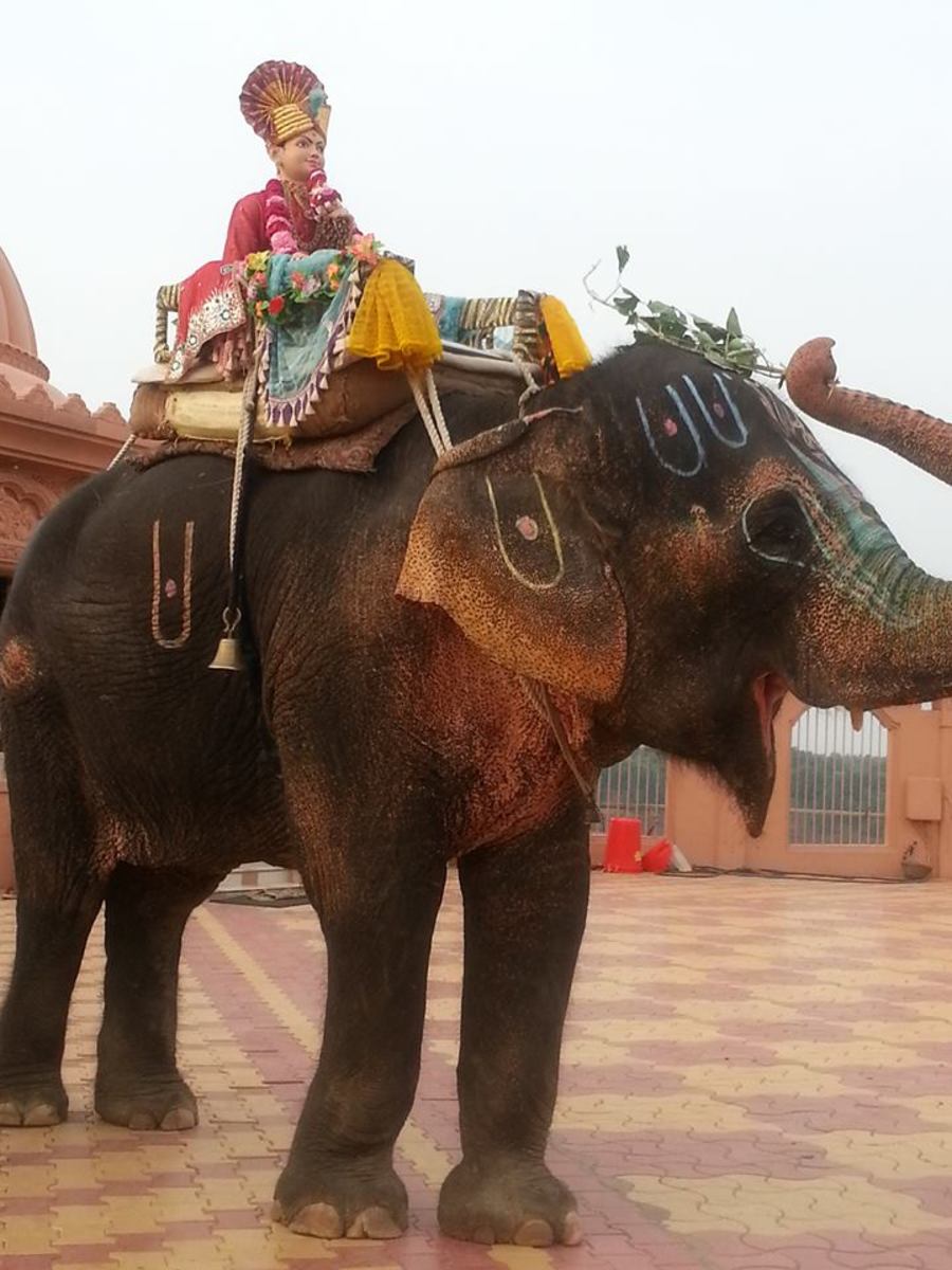Decorated Temple Elephant 