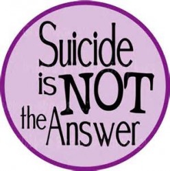 A Sample Suicide Prevention Program