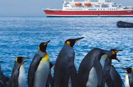 Penguins watching the MS Expedition 