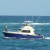 Small sport fishing boat (AlleyCat) Small sport fishing boat (AlleyCat)
