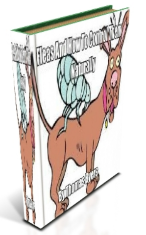 I have a book currently at Amazon that I wrote on , How To Keep Fleas Out Of Your House And Off Your Pet.