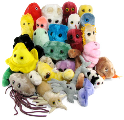 Need some cute, cuddly microbe to distract you from Ebola?  Name your poison.