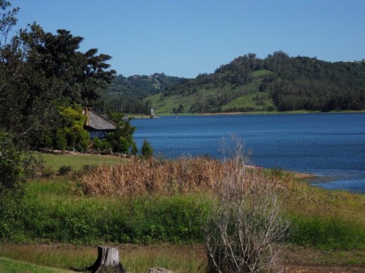 Peace in Maleny