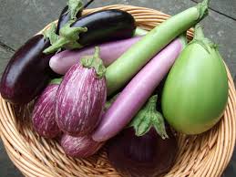 Eggplant comes in all sorts of colors, styles and shaped.