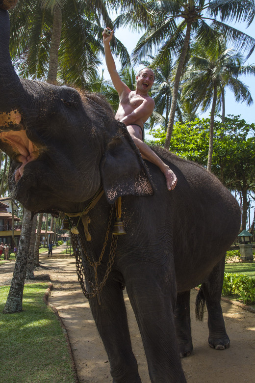 Riding an Elephant in Sri Lanka