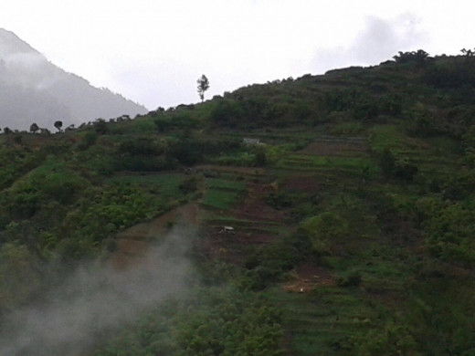 The beautiful hills of Halls Delight, St. Andrew Jamaica 