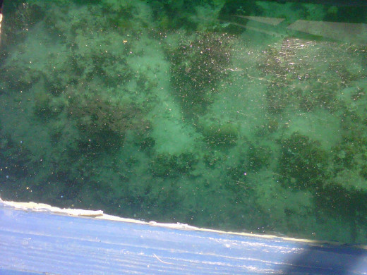 Glass-bottom boat view at Jewel Paradise Cove Beach Resort And Spa, St. Ann