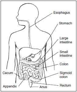 Skin Changes That Result From Malabsorption | HubPages