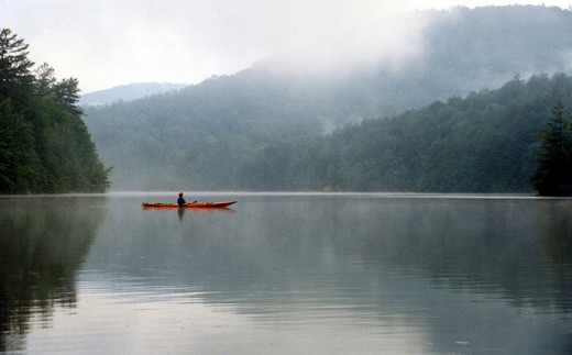 They love solitude, which gives you more time to do the things you enjoy. 