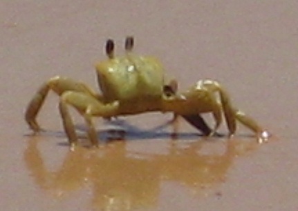 http://s2.hubimg.com/u/11951267.jpg