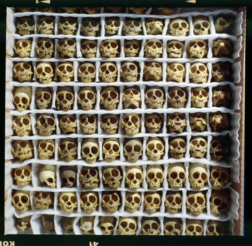 This creepy collection of thousand monkey sculls belonged to Bolk. It's now a collection in Museum Vrolik, part of the Academical Medical Museum of Amsterdam.