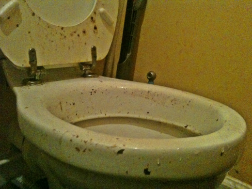 Dirty Filthy Toilet