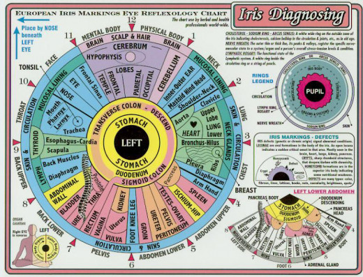 Iridology eye chart map of correspondences