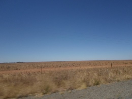 Free State, South Africa, R30 to Bloemfontein. Mealie lands waiting for rain... 