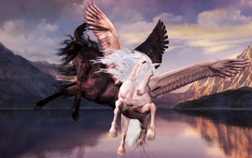 white and black pegasus