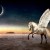 white pegasus white pegasus