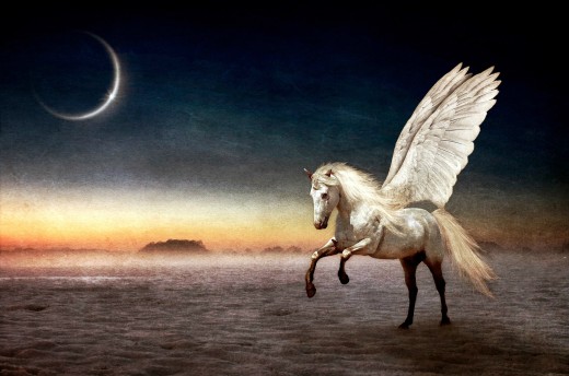 white pegasus