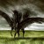 black pegasus black pegasus