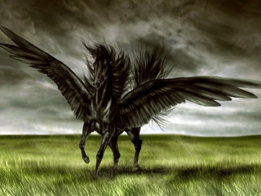 black pegasus