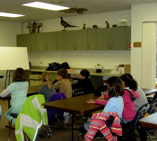 Elementary school kids enjoy class activities