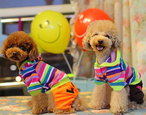 This is the ever popular rainbow style. See details above and below.