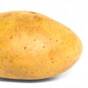 Potato Gamer profile image