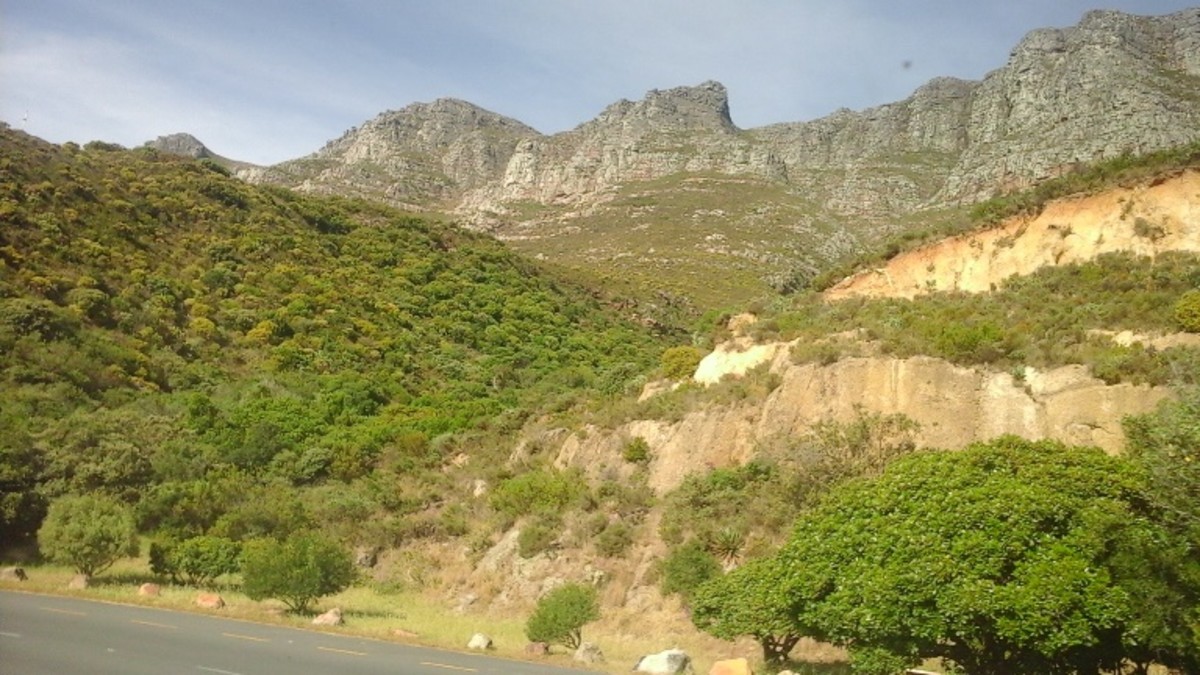 Table Mountain Range - the 'spine' of the Cape Peninsula 