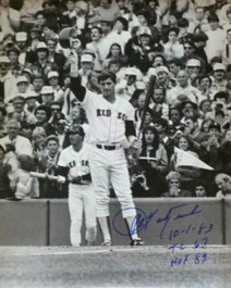 "The Yaz"