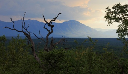 A view of the Lowveld, Limpopo Province, South Africa.