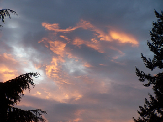 Where angels fly