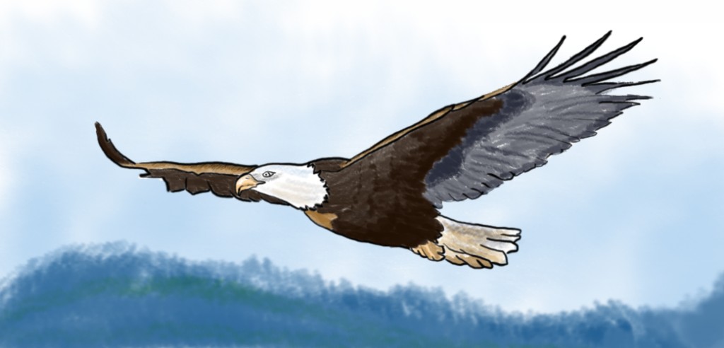Bird Symbolism And Spiritual Gifts Exemplore