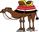 Sopwith is a grumpy camel, who won't let you ride him, but will happily spit in your eye.