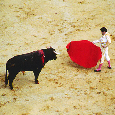 Bull Fight in Tijuana