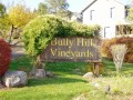 Visit Bully Hill Winery