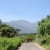 Wine route, Stellenbosch area, Cape Winelands, South Africa 