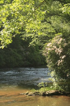 Bend Of The River Cabins bend of the river cabins dahlonega Bend Of The River Cabins bend of the river cabins dahlonega