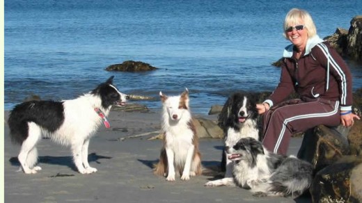 Dog Training In beach