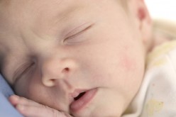 The Beginners Guide To Babies: The First Day Home