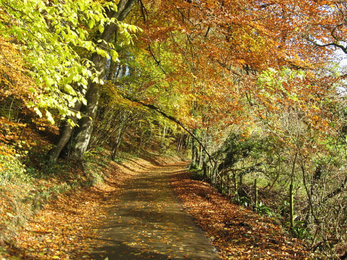  English country lane in Autumn. 2008 In the Public Domain