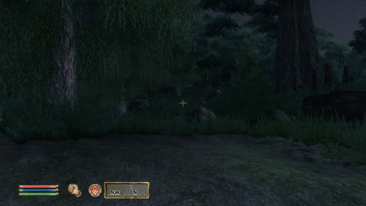 ....or the tip of the south-eastern stretch, you will be in one of Oblivion's forests.