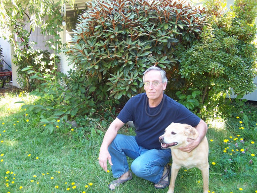 As an old fart (the dog, not me)