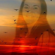 Jackie Paulson profile image