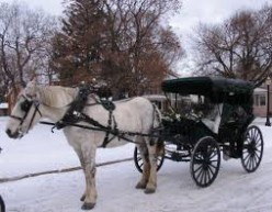 The Carriage Driver – The Diarist
