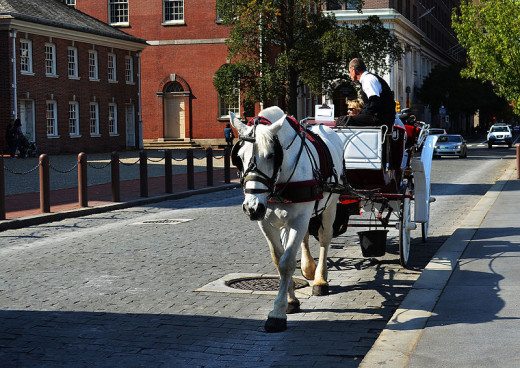 Not actual Louisville Horse Tram service shown here.