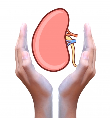 As a nephrology nurse you will care for patients that have kidney failure.