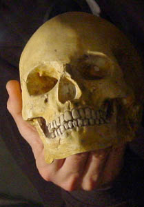 A plethora of objects was found on the site, including the intact cranium of a young adult woman 